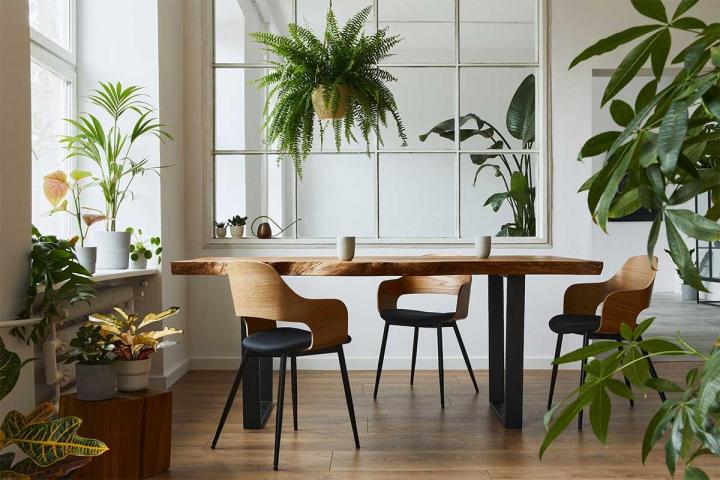 Habitat de confort Montréal
